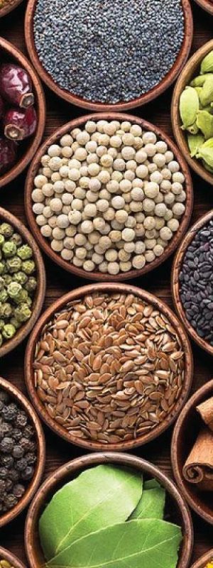 Spices Spices