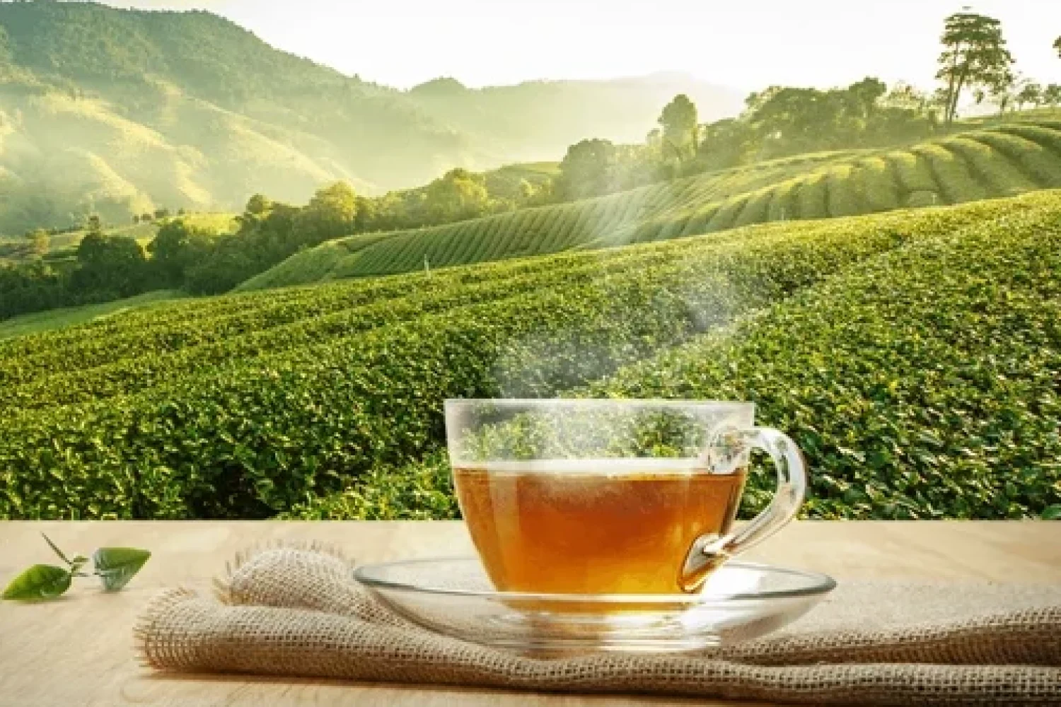 SriLanka Tea SriLanka Tea